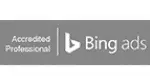 Bing Ads Professional