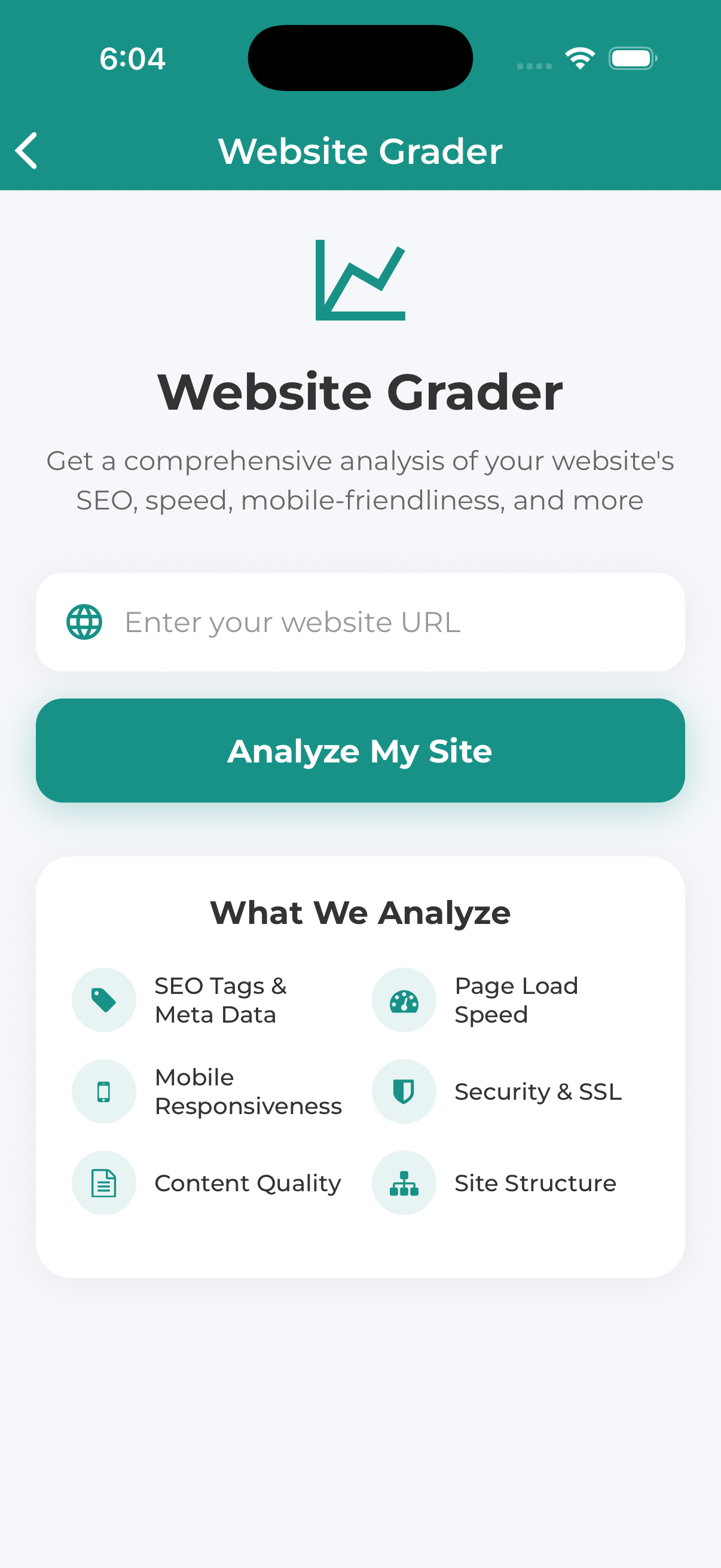 Mobile app website grader