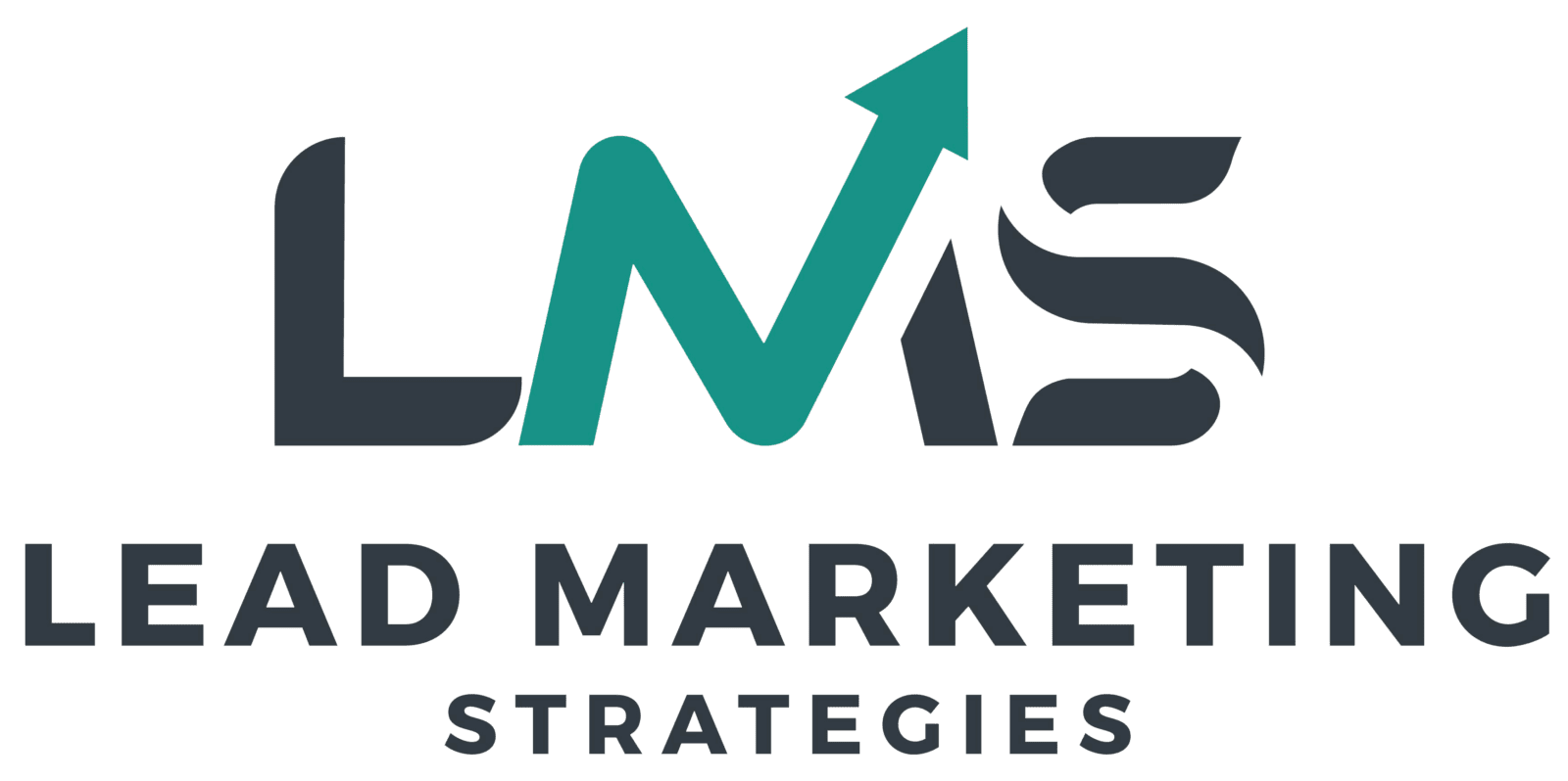 Lead Marketing Strategies